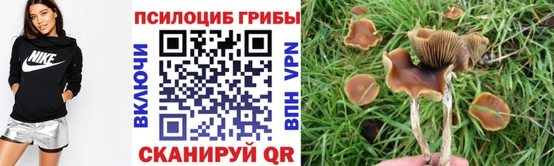 Галлюциногенные грибы MAGIC MUSHROOMS  Геленджик 